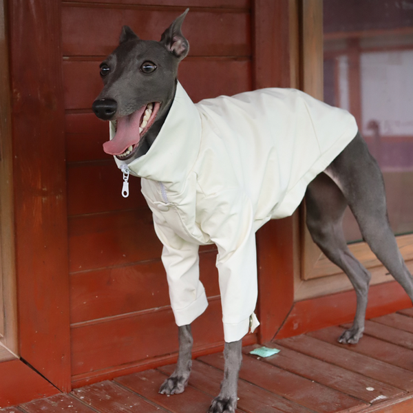 Dog PU Jacket Zip for Italian Greyhound Whippet Clothes