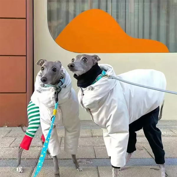 Dog Padded Jacket Snowsuits for Italian greyhound Whippet Clothes