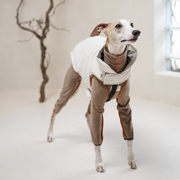 Dog Padding Vest Cotton Jacket Waterproof Outdoor Wear Italian Greyhound Clothes