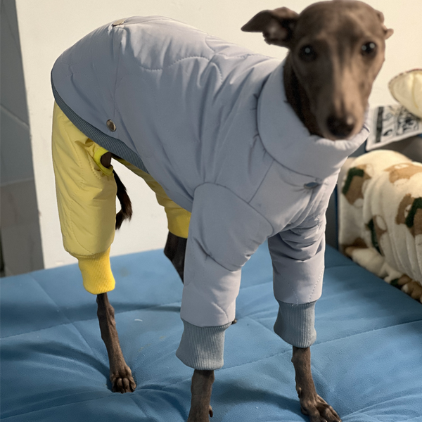 Dog Snowsuits Padded Jacket Legs Detachable for Italian Greyhound Whippet Clothes