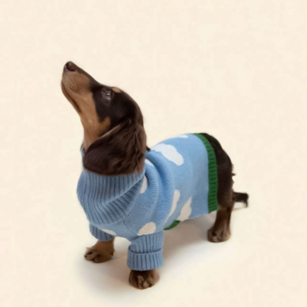 Dog Sweater Cat Sweater Blue Sky White Cloud Knitwear Warm Pet Clothes