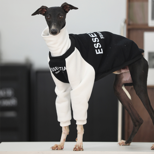 Essantial Athletic Sweatshirt Hoodie Italian Greyhound Whippet Dog Clothes