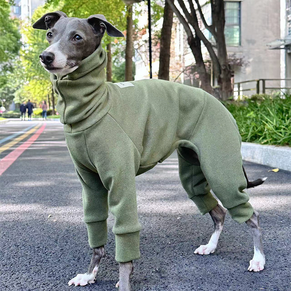 Fleece Warm Onesies Italian greyhound Dog Clothes