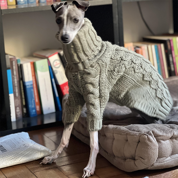 High Neck Cable Knit Sweater for Italian Greyhound Whippet Dog Clothes