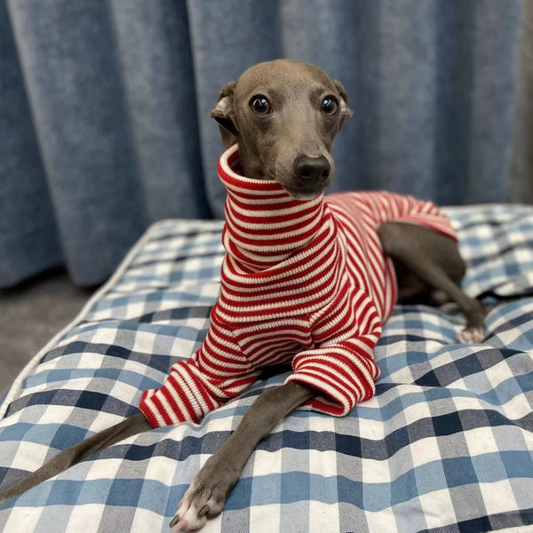 Stretch Stripe Turtleneck Shirt Italian Greyhound Whippet Dog Clothes