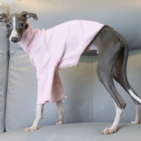 Italian Greyhound Dog Clothes Underlayer Shirts High Neck