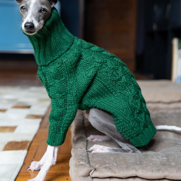 Italian Greyhound Dog Sweater Cable Knit Clothes