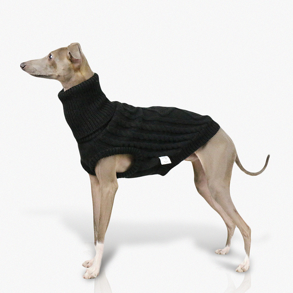 Italian Greyhound Dog Sweater Cable Knit Clothes Black