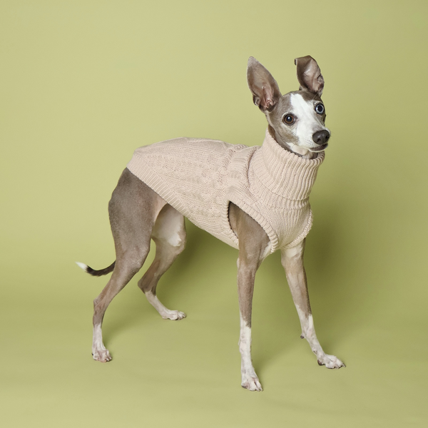 Italian Greyhound Dog Sweater Cable Knit Clothes Vest High Neck