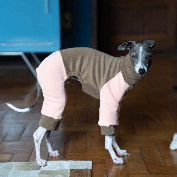 Italian Greyhound Onesies Double Fleece Thick Whippet Dog Clothes Brown