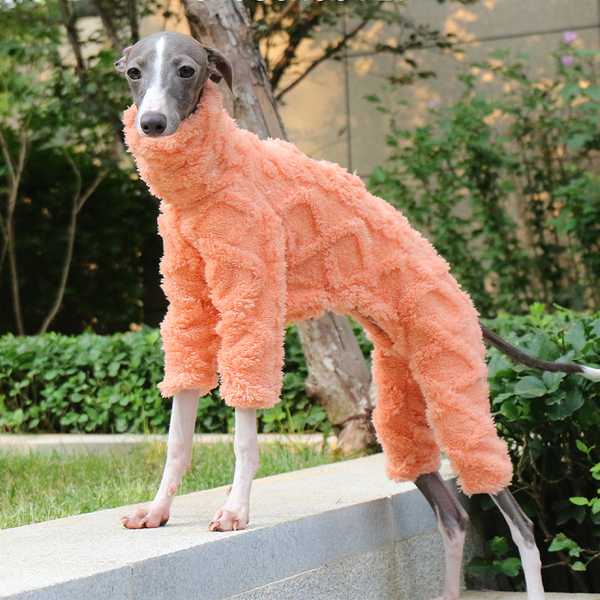 Italian Greyhound Onesies Double Fleece Thick Whippet Dog Clothing Orange