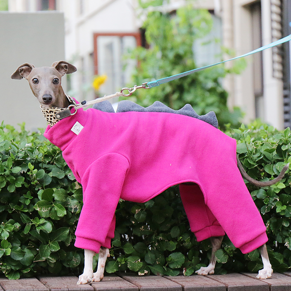 Italian Greyhound Onesies Fleece Monster Thick Whippet Dog Clothes