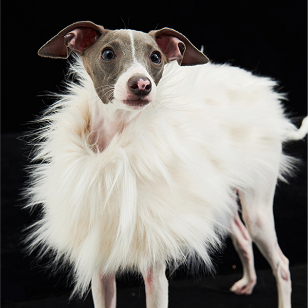 Luxury Dog Clothes Faux Fur Cape for Italian Greyhound Whippet