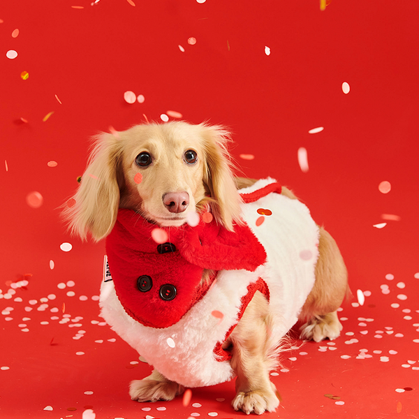 New Year Red Fleece Vest Jacket Dachshund Clothes