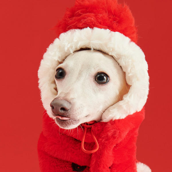 New Year Red Fleece Collar Scarf Hat