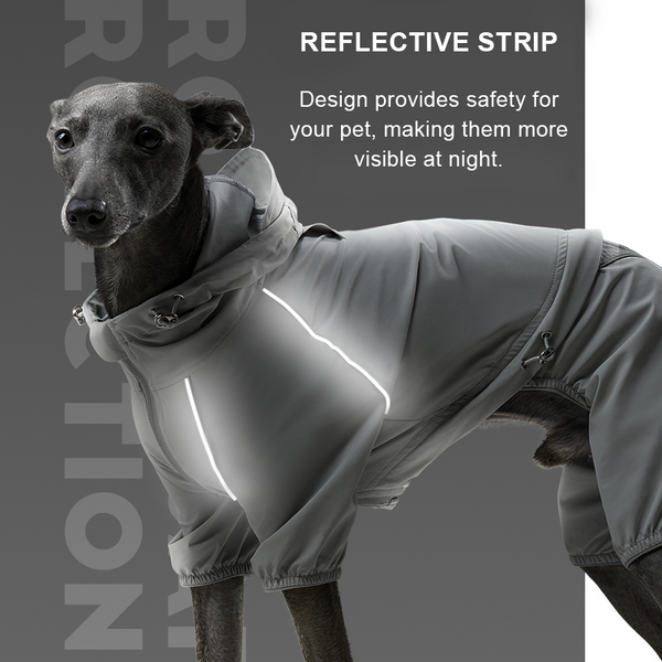 Outdoor Raincoat Waterproof Windproof Jacket Italian Greyhound Whippet Dog Clothes