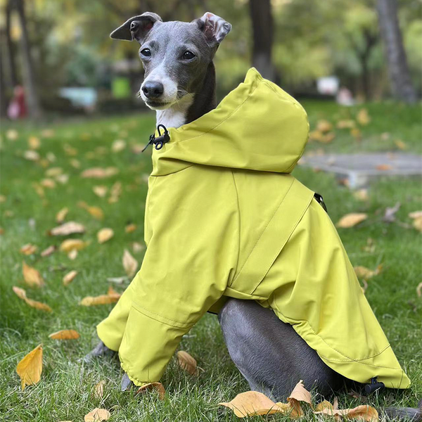 Outdoor Raincoats Fleece Jacket Italian greyhound Dog Clothes