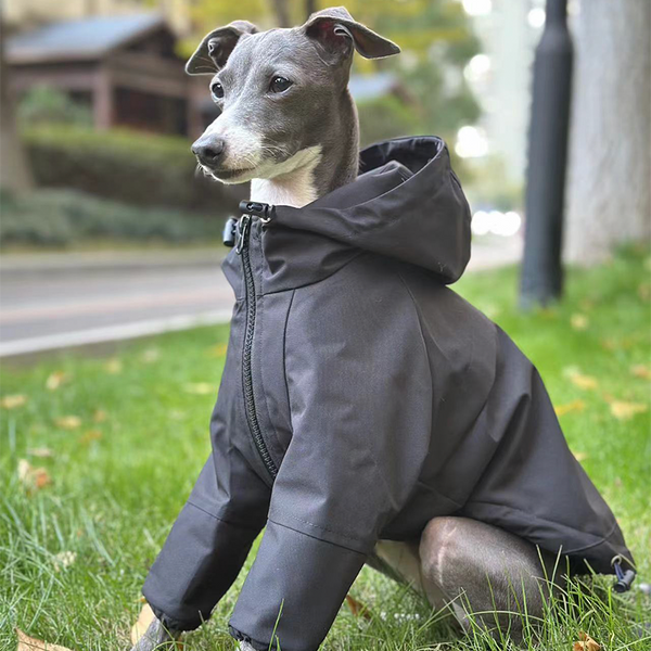 Outdoor Raincoats Fleece Lining Italian greyhound Dog Clothes