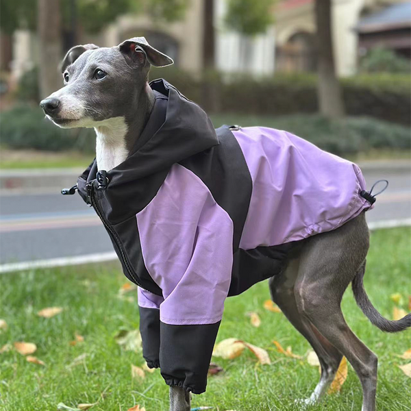 Outdoor Raincoats for Italian greyhound Whippet Dog Clothes