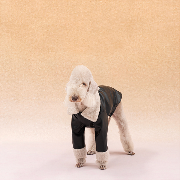 PU Jacket Dog Clothes Fleece Coat Bedlington