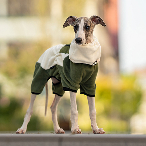 Polar Fleece Dog Onesies Outwear Italian greyhound Whippet Clothes