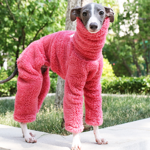 Rose Red Fleece Onesies Italian Greyhound Whippet Dog Clothes