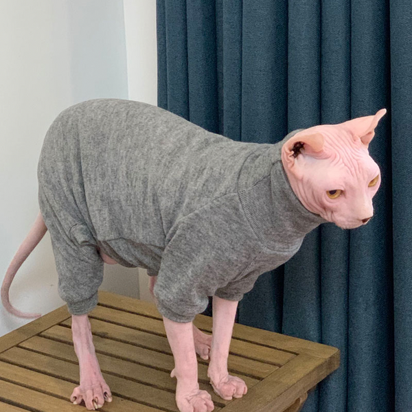 Sphynx Cat Sweaters Pullover Onesies Cashmere Sweater Devon Rex Clothes