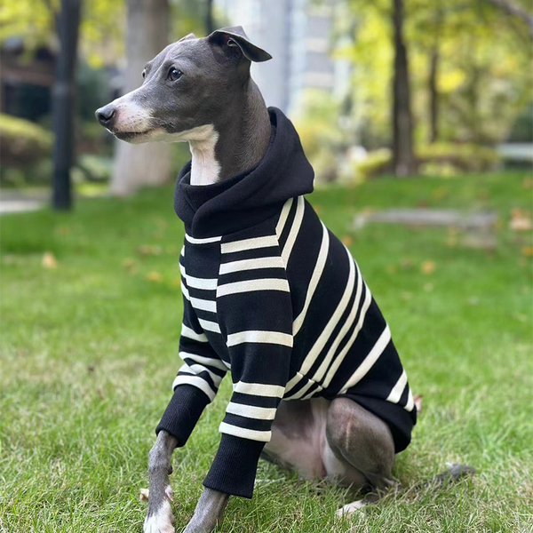 Stripe Black Hoodie Italian greyhound Dog Clothes