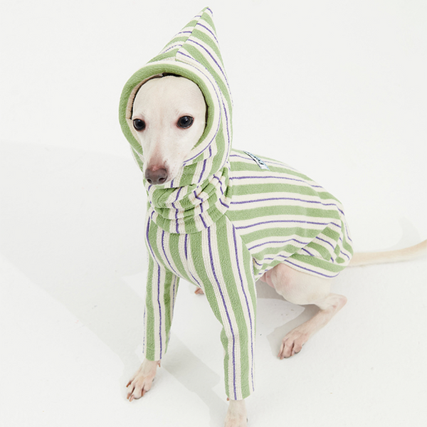 Stripe Shirts with Hat Dog Pajamas Small Dog Italian Greyhound Clothes Green