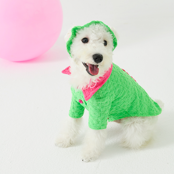 Waffle Shirts Hat Dog Pajamas Small Dog Italian Greyhound Clothes Green