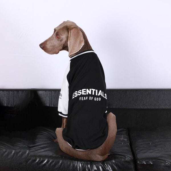 Baseball Jacket Big Dog Clothes