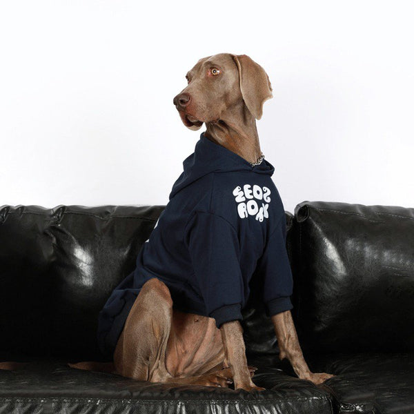 Big Dog Clothes Casual Hoodie