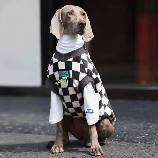 Big Dog Clothes Sweaters Checkerboard Vest