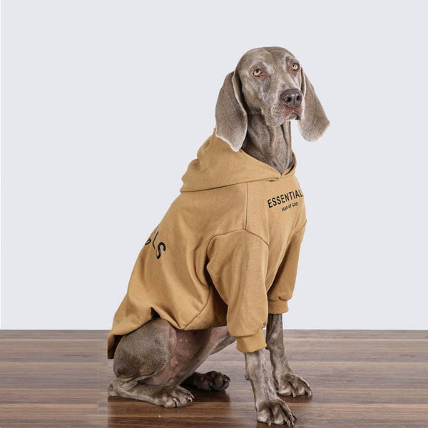 Big Dog Clothing Casual Hoodie