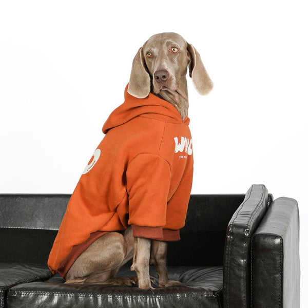 Big Dog Clothing Casual Hoodie