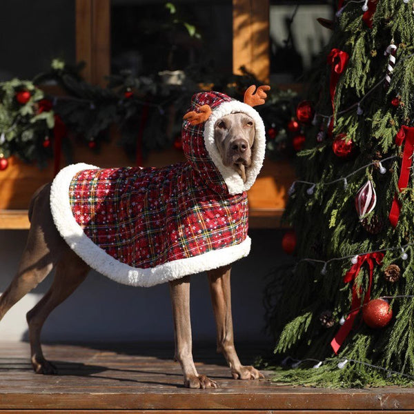 Big Dog Clothing Christmas Hoodie Coat Cloak