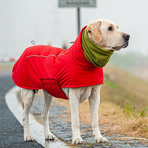 Big Dog Clothing Cotton Padding Coat Winter Jacket