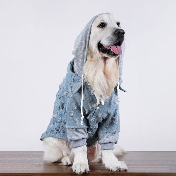 Big Dog Clothing Denim Hoodie Jacket