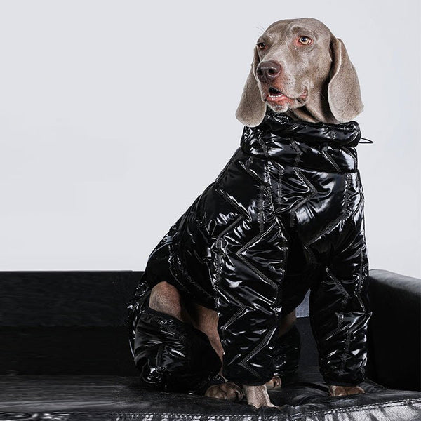 Big Dog Clothing Padded Jacket Reflective Snowsuit Coat