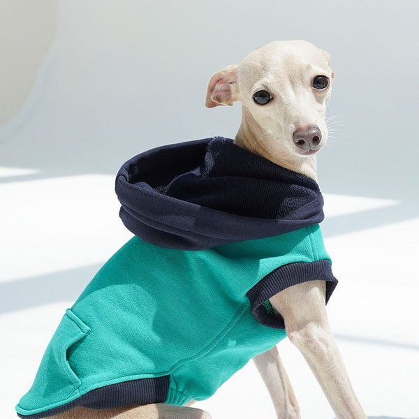 Casual Hoodie for Italian Greyhound Whippet