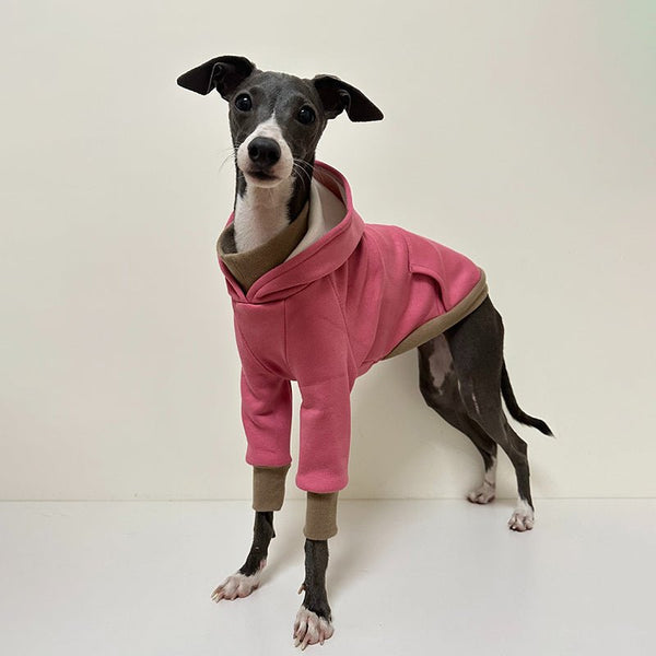 Casual Hoodie for Italian Greyhound Whippet