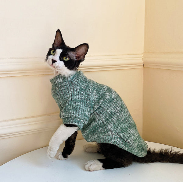 Cat Clothes Turtleneck T-shirt