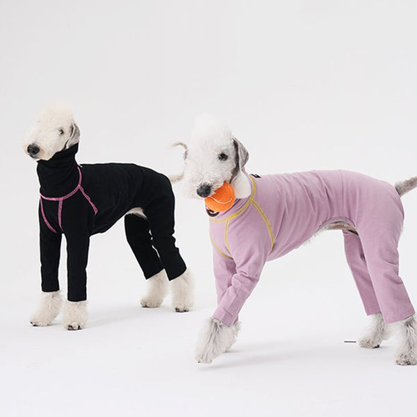 Colorful Onesie Bedlington Dog Clothes