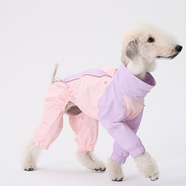 Colorful Raincoat Bedlington Dog Clothes