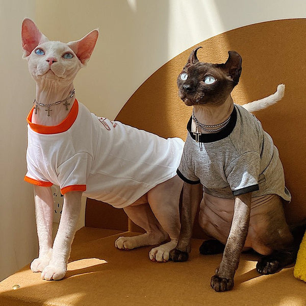 Contrast Print T-shirt Sphynx Cat Clothes