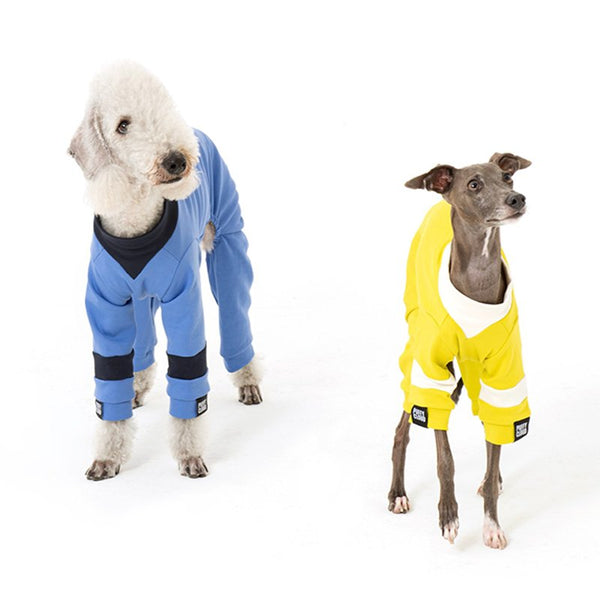 Cotton Onesie Italian Greyhound Whippet Dog Clothes