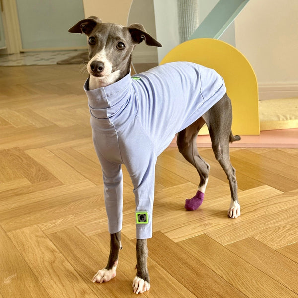 Cotton Shirt T-shirt Italian Greyhound Whippet Dog Clothes