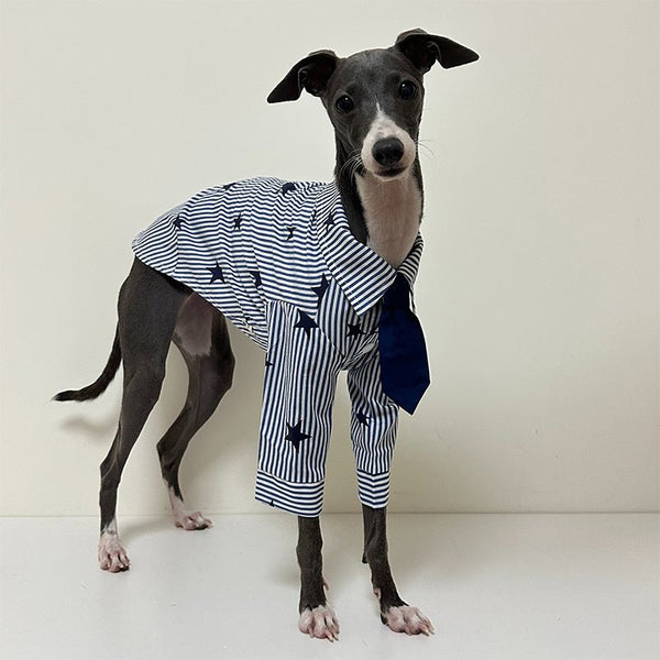 Cotton Shirts with Tie for Italian Greyhound Whippet