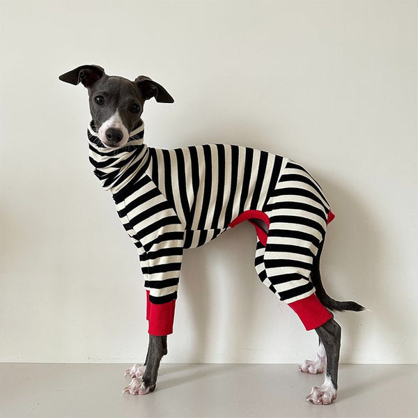 Cotton Stripe Onesie for Italian Greyhound Whippet Dog Clothes