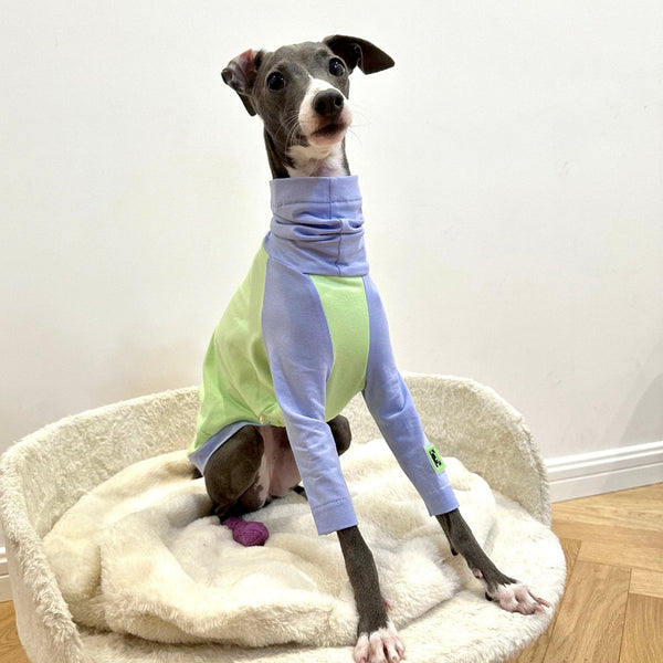 Cotton T-shirt Shirt Italian Greyhound Whippet Dog Clothes